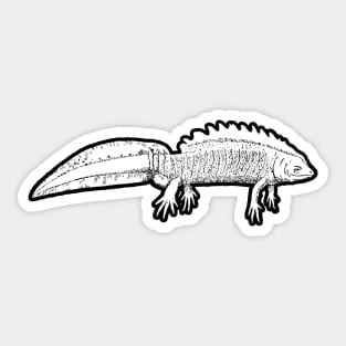 Newt Sticker